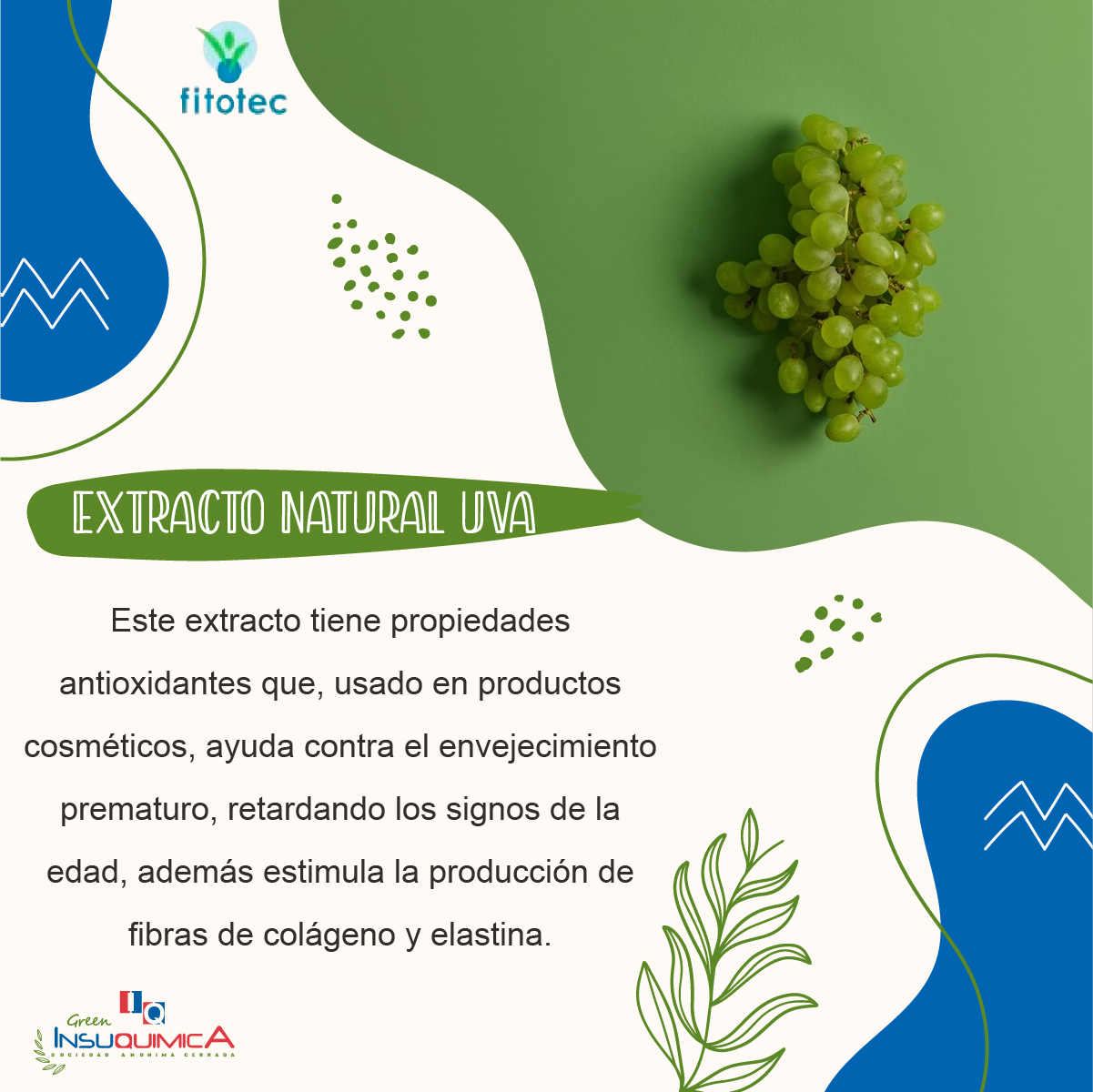 EXTRACTO_NATURAL_UVA_(2)