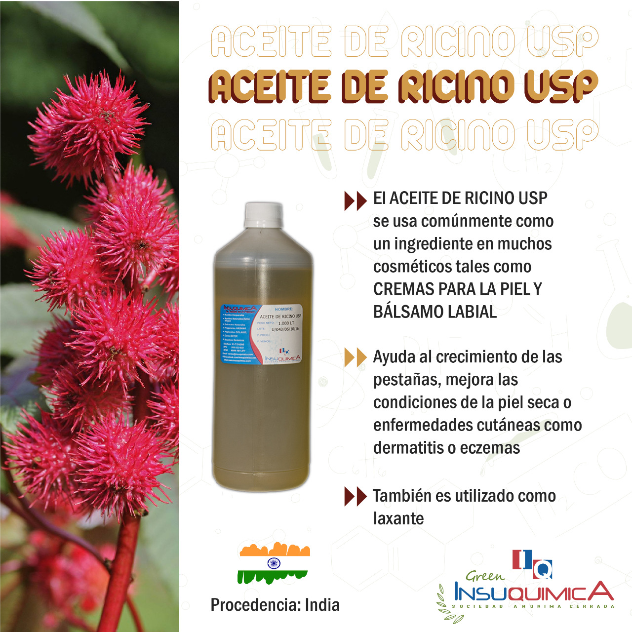 Aceite de Ricino – Ecolution Perú